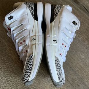 Nike Air Jordan Vapor Tour AJ3 White Cement 709998-160 Men's Size 11.5 Authentic